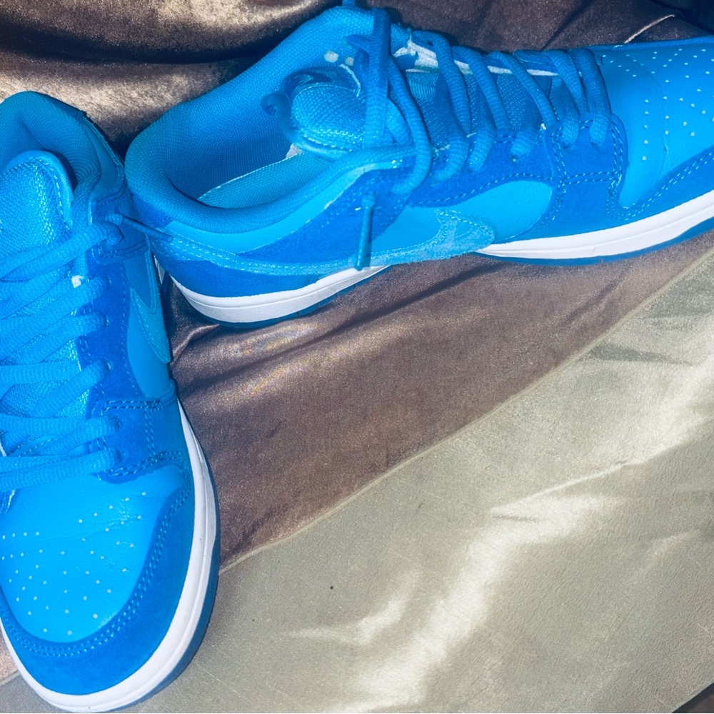 Nike SB dunk Blue Raspberry